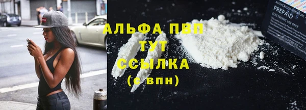 ГАЛЛЮЦИНОГЕННЫЕ ГРИБЫ Надым