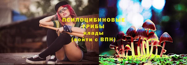 индика Михайловск