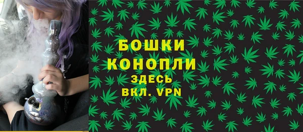 ГАЛЛЮЦИНОГЕННЫЕ ГРИБЫ Надым