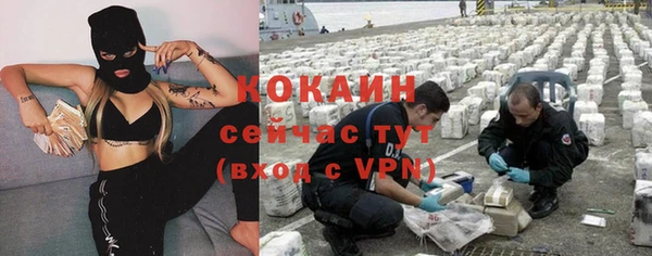 ГАЛЛЮЦИНОГЕННЫЕ ГРИБЫ Надым