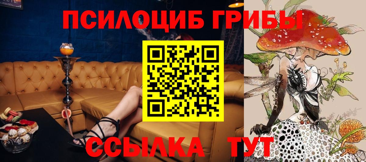 Рассказово  закладка  Вход с VPN  Псилоцибиновые грибы мицелий 